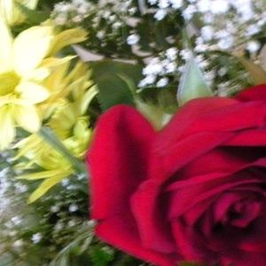 Meet your Posher, Lee